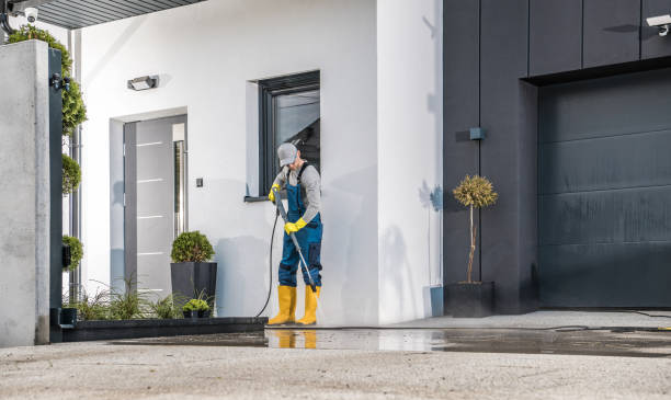 Best Fence Cleaning  in El Verano, CA